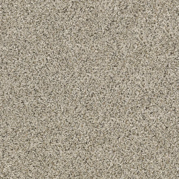 River Rock Carpet Swatch