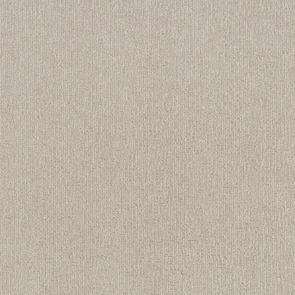 Subtle Clay Carpet Swatch