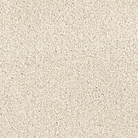 Dune Carpet Swatch