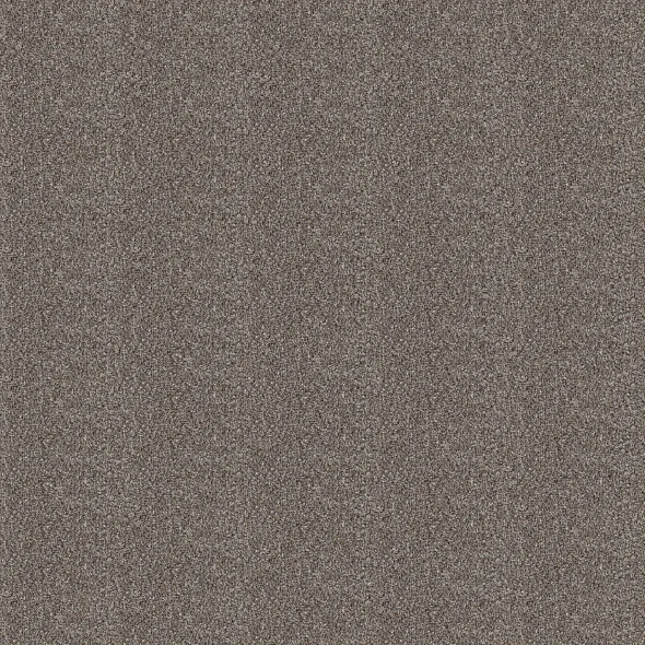 Coffee Carpet Swatch