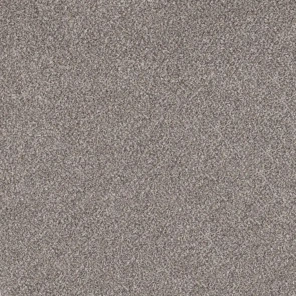 Oxford Carpet Swatch and Room Scene